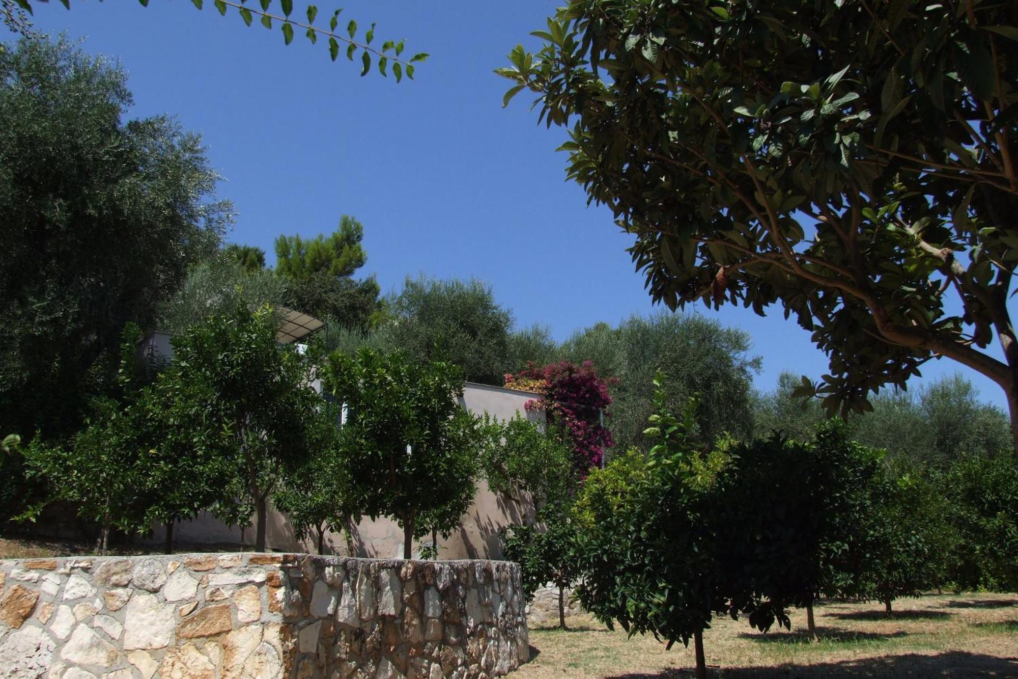 Villaggio Hotel Ripa Rodi Garganico Extérieur photo