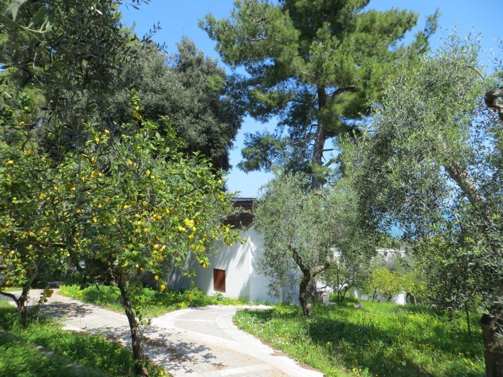 Villaggio Hotel Ripa Rodi Garganico Extérieur photo