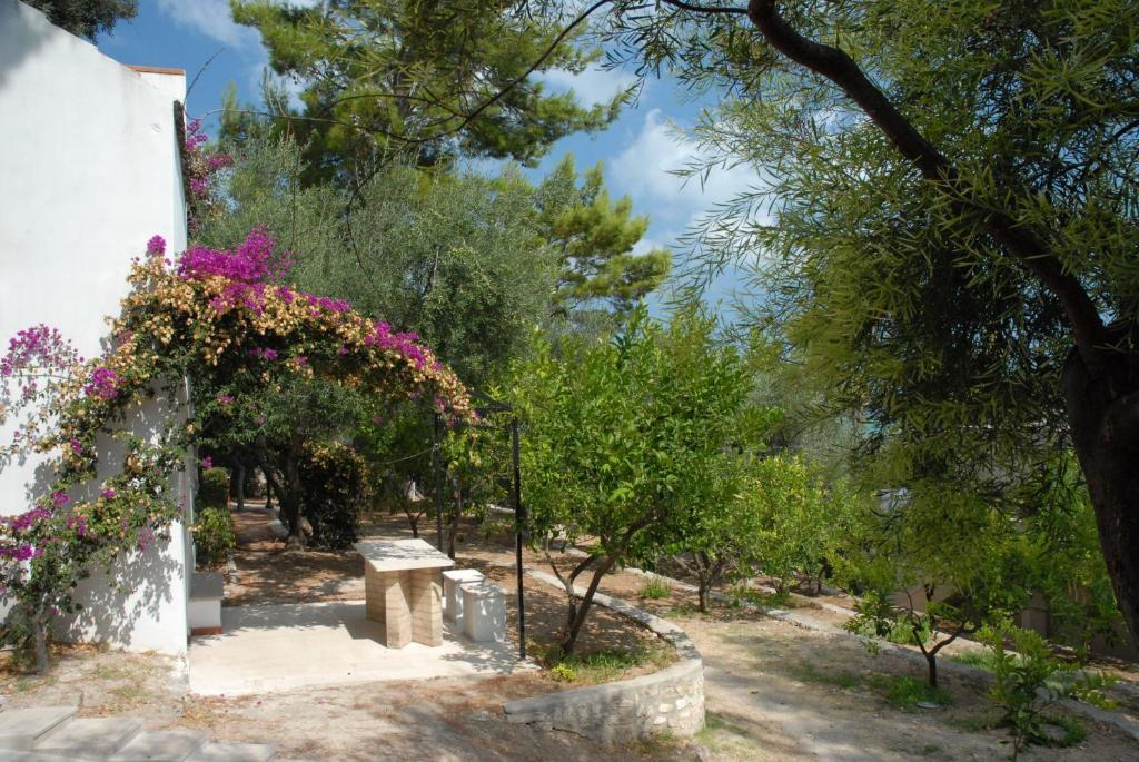 Villaggio Hotel Ripa Rodi Garganico Extérieur photo